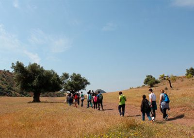 Excursion tesoros minerales de málaga