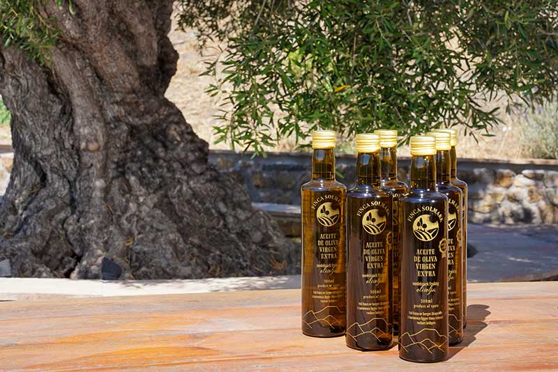 Ekologisk Apelsinjuice - Finca Solmark