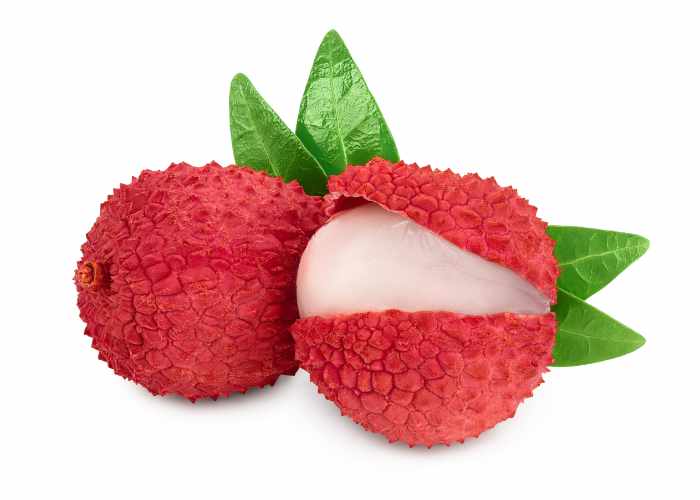 Litchi EKO